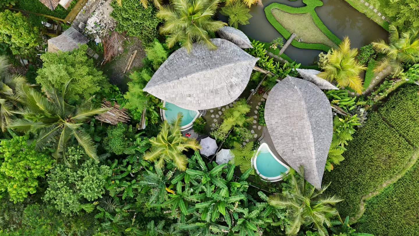 Architectural & Modern Tropical Elopements